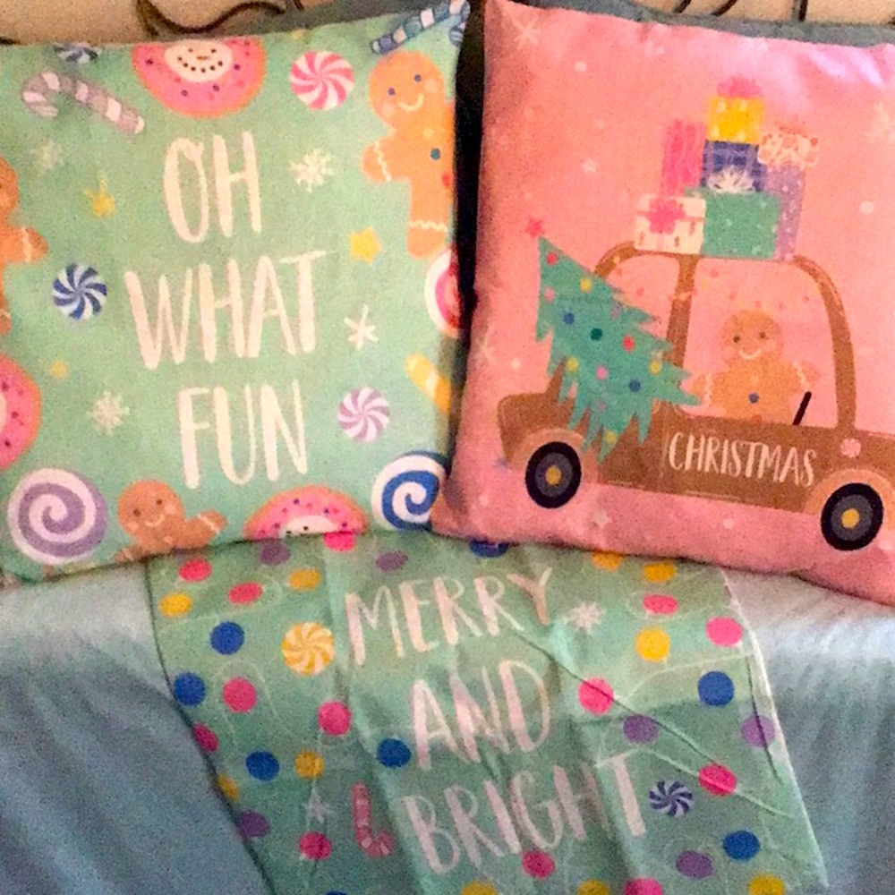 Pillows- Item 7- Delightful set of two pillows with pillow covers PLUS extra!